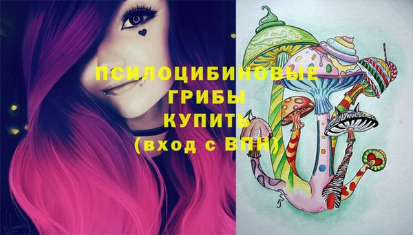 не бодяженный Алексин