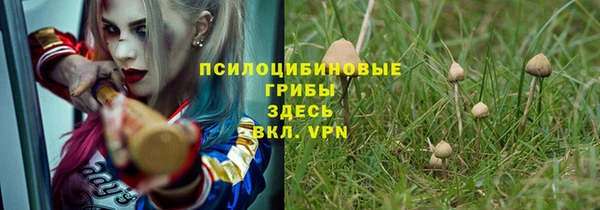 не бодяженный Алексин