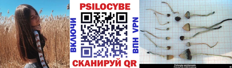 мориарти состав  Уяр  Псилоцибиновые грибы Psilocybine cubensis 